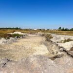 WhatsApp Image 2025-05-22 at 2.37.13 PM